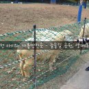 병인목장 이미지