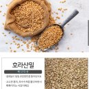 다이어트에좋은 호라산밀 500g×3봉 6880원 무배 이미지