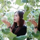 제주도 레인보우 이미지