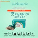 아마란스피누스 네이버블로그