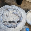 목포유진수산 Daum카페