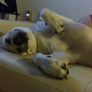 디제이 뭉 이미지