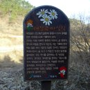 대장금마실길(5코스) 이미지