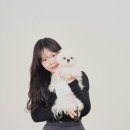 로우필름스튜디오 | [인로우스튜디오] 한남동 셀프사진관 / 한남동 데이트 / 애견동반 / 솔직후기 / 보정맛집🧚🏻