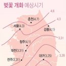 올해 꽃피는 시기가 많이 빨라질 것 같네요.. 이미지