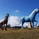 주주목장 이미지