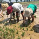 전라남도 농업박물관(테마공원) 이미지