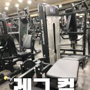 다비드 짐 이미지