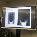 김마리 | [특집] 책에 대한 마음 - 김마리 북디자이너 프로그램 후기