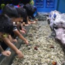 동대문네이버스 이미지