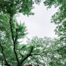 나무별 - 순천시 장천4길 10 | 나무별