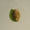 종철목장 | 서울시립미술관 2025년 마지막달 방문기 - 약속,근접한 세계 &amp; 그림과 현실 (+크리스마스날 인원수 현황)