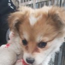 칠곡면사무소 이미지