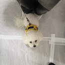 휴팩토리 이미지