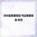 아이힐 동물병원 | 아이힐동물병원 역삼동물병원 추천
