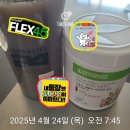 FLEX 헬스클럽 | [FLEX 45 - Day 10] 오늘도 맑음, 나의 루틴은 계속된다