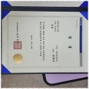 레고코딩(저학년) 이미지