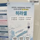 더힐즈의원 | 고운채로의원 가서 레이저리프팅 받고 온 썰