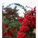 황매산황토민박 이미지