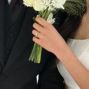 6344 | 청담 오르시아 웨딩밴드 수령 후기 예물반지 고르는 꿀팁까지! (할인방법 공유)