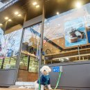 라온365온누리약국 이미지