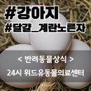 닥터김동물의료센터 이미지