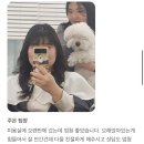 헤어스토리경미 | 오산 20대 여성 레이어드 S컬펌 후기, 실패 없는 곳 찾는다면?/ 에즈온헤어 오산 세마역점/오산미용실...