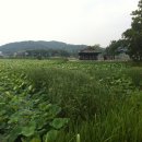 유등연지 이미지