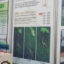 함양산삼직거래사업단