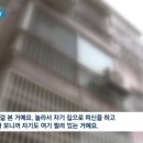 부산서 60대 남성 '칼부림'…아빠 사망·초등생 딸 부상 / JTBC 뉴스룸 이미지