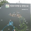 경남 밀양시 추화산(추화산성)-산성산-용두산-아동산(밀양읍성) 코스/2023.6.8.목(3/3) 이미지