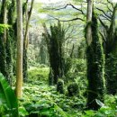 유크리에이션 이미지