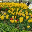 조선의갈비 이미지