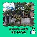 월문5리 마을회관 | 전원주택 나무 제거 마당 수목 벌목