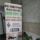대전 초등축구 여자아이도 재밌게 다니는 중앙S풋볼아카데미 선화점 후기