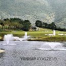 동강시스타 골프장 이미지