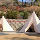 카페스토리 이미지