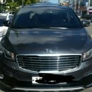 펫택시펫카 이미지