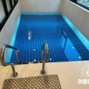 머물다 주도 이미지