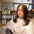카페태이 | 숱 많은 반곱슬도 만족한 일산 레이어드펌 후기｜아이디헤어 덕이점 태이 스타일리스트