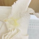 산본우리약국 | 질염 걸리는 이유 꼭 알아야해요 급성질염 완치 후기 산본역 산본 산부인과