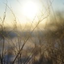 스카니아코리아리테일(주) | 슬로우리빙이 대세라는데, 구체적으로 뭘 어떻게 하라는 걸까?