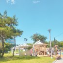 대구 물놀이장 물놀이터 북구 유통단지공원 신기공원