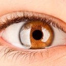 아름담의원 이미지