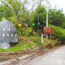 시왕도초본과 사자도 초본10점 | 강원도 영월 만봉불화박물관 문화재를 만나다.