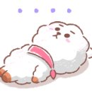 아델라인라이프 이미지
