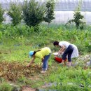 온유농장 이미지