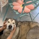 무병짱수 이미지