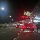 멍멍택시1 이미지