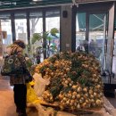 하동상회 이미지